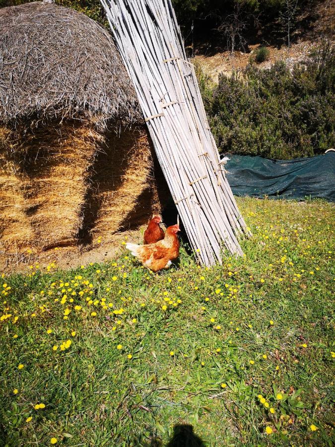 Pietra Antica Alojamento de Turismo Rural Ripatransone