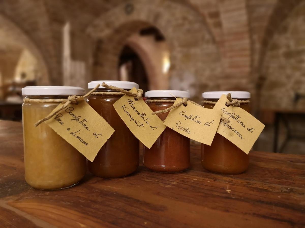 Bauernhof Pietra Antica *