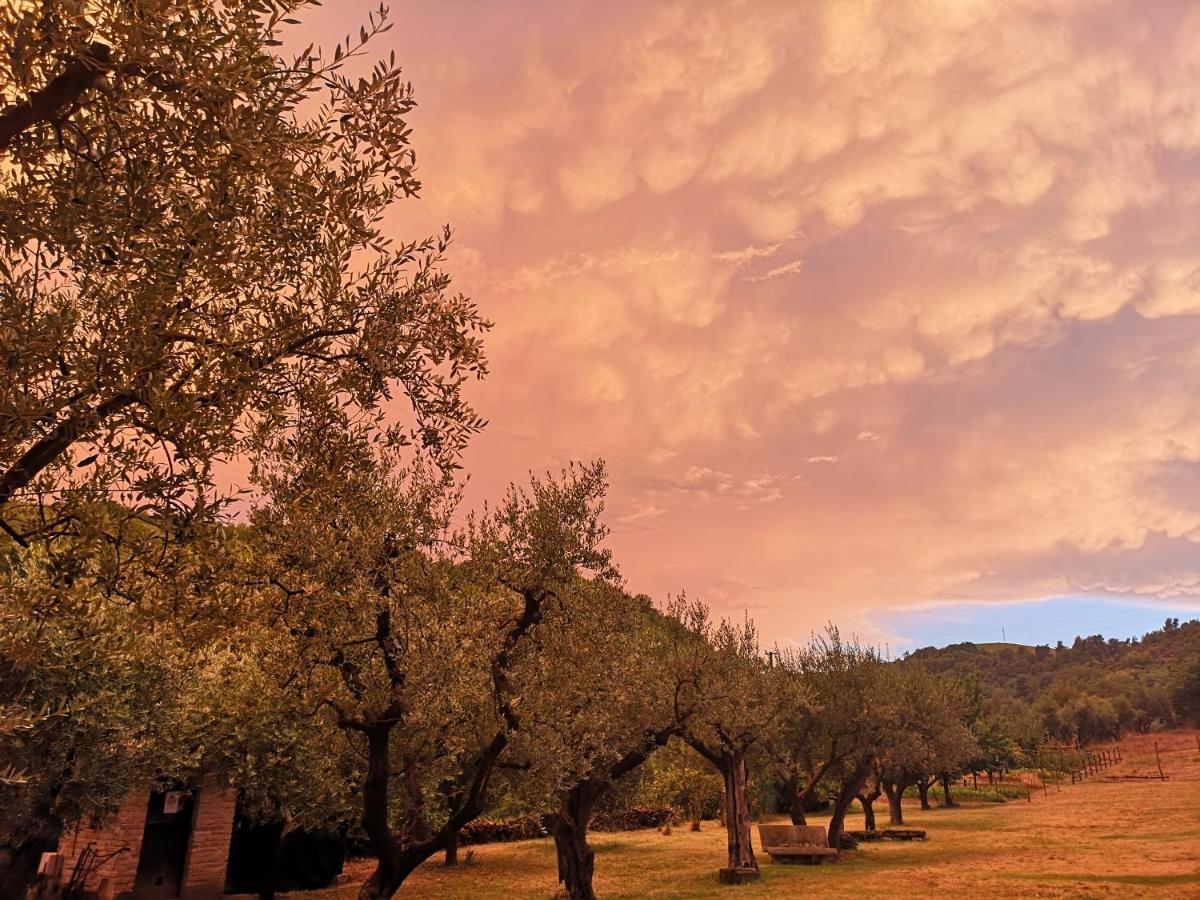 Alojamento de Turismo Rural Pietra Antica