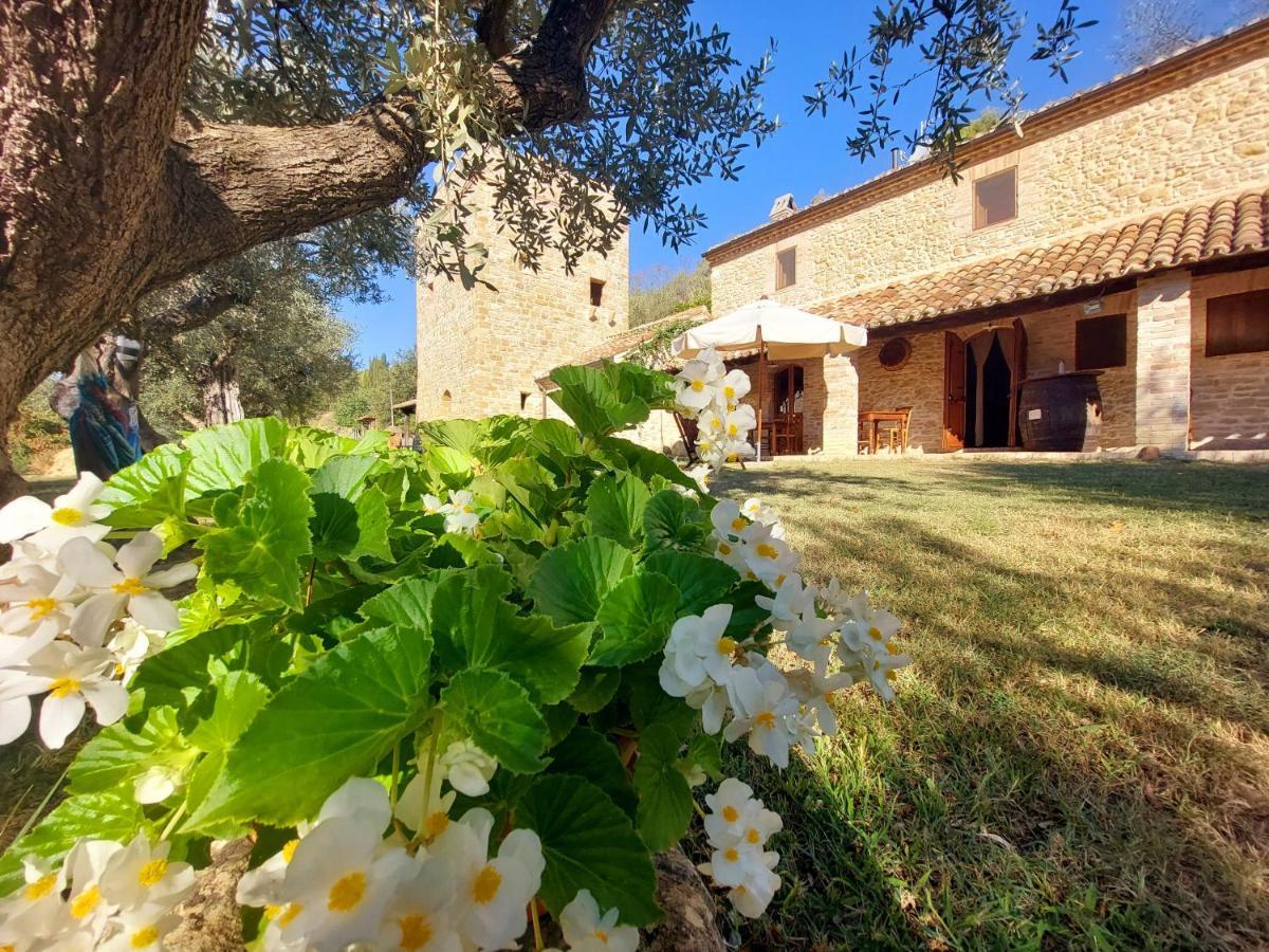 Pietra Antica *