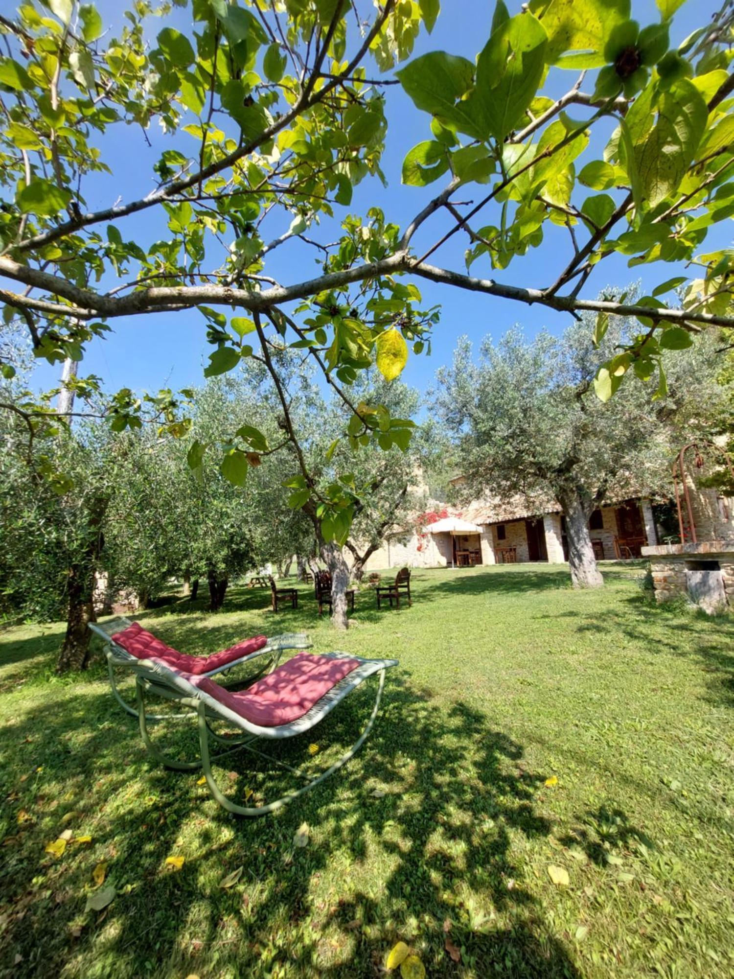 Pietra Antica Bauernhof Ripatransone