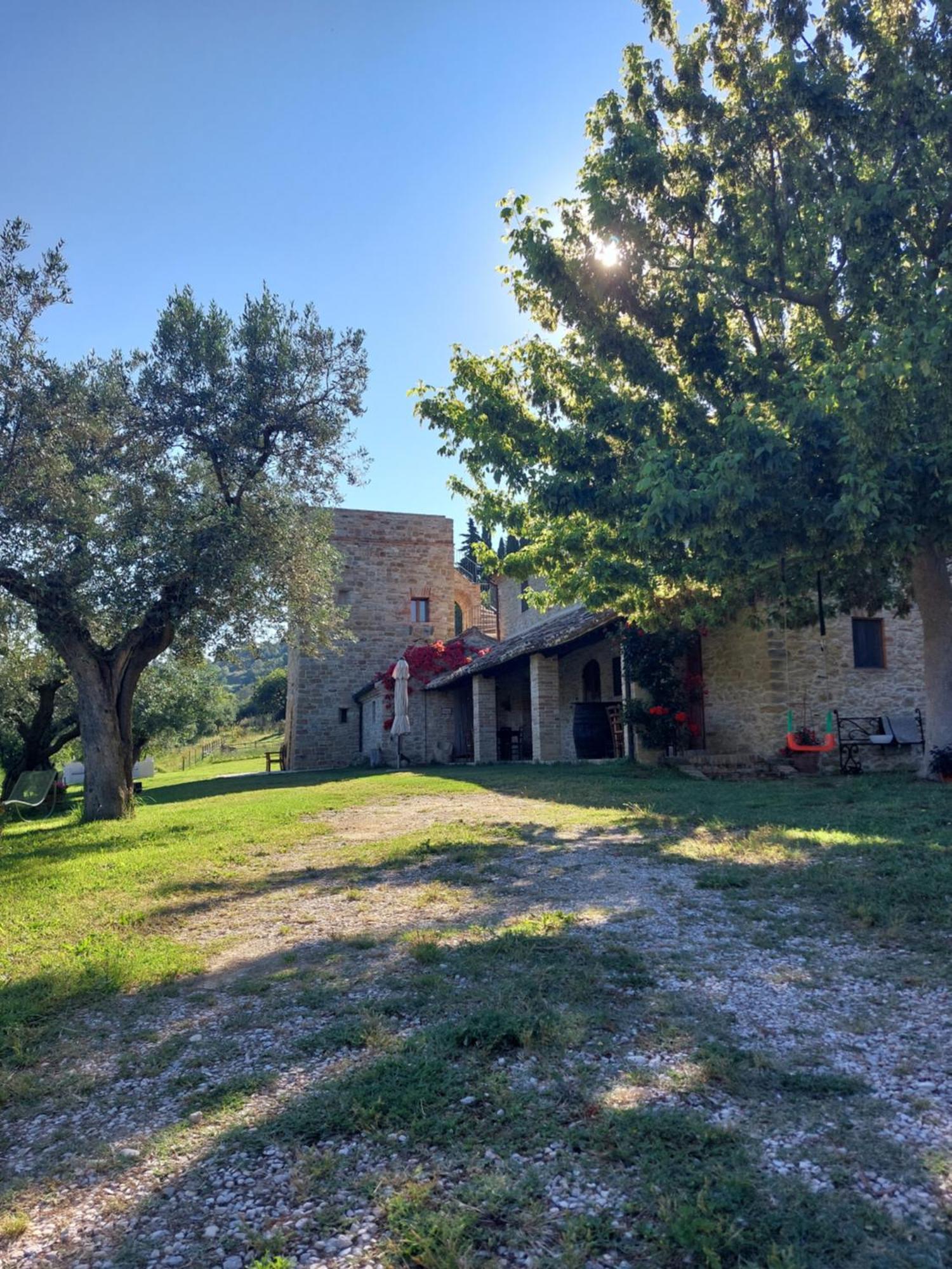 Pietra Antica * Ripatransone