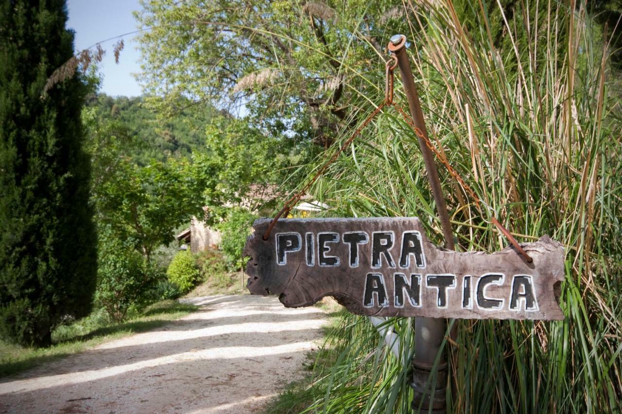 Pietra Antica *