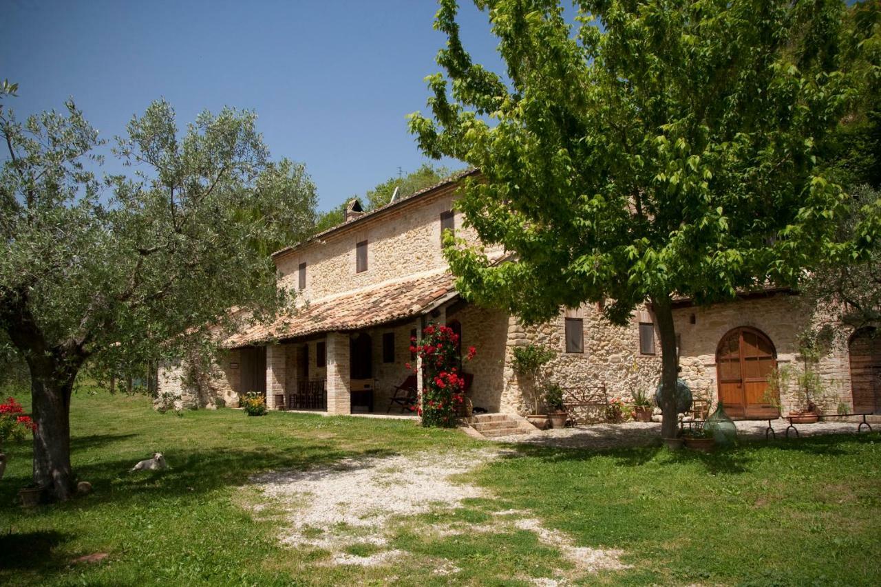 Bauernhof Pietra Antica Ripatransone